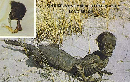 Tổng hợp tin tức hay nhất tuần 04/09