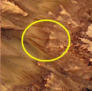NASA họp bất thường, có thể công bố bằng chứng sự sống trên sao Hỏa