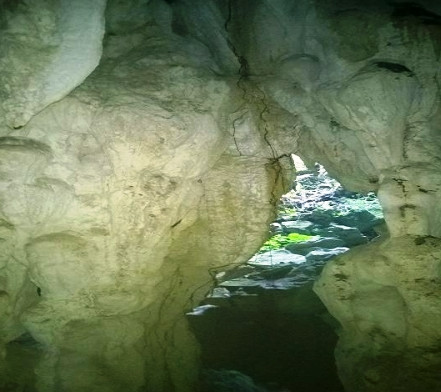 Phát hiện hang động “mới” ở vườn quốc gia Phong Nha - Kẻ Bàng