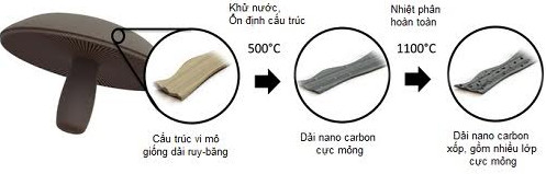 Pin điện thoại càng dùng càng mạnh chế từ nấm