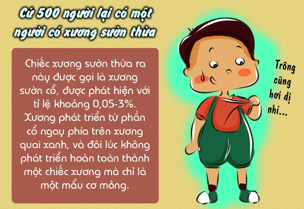Sự thật thú vị về xương không phải ai cũng biết