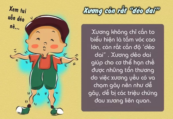 Sự thật thú vị về xương không phải ai cũng biết