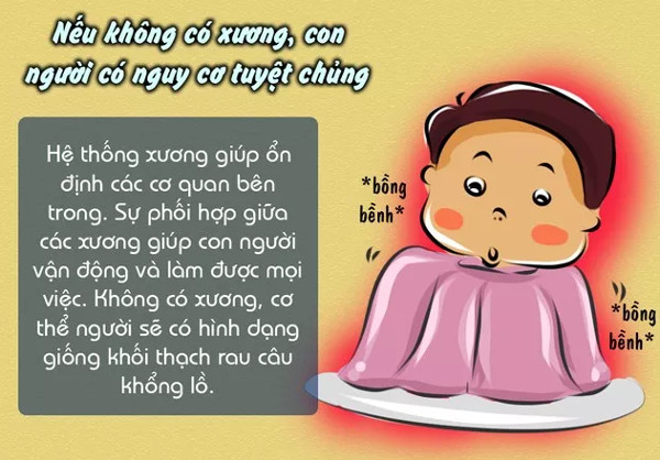 Sự thật thú vị về xương không phải ai cũng biết
