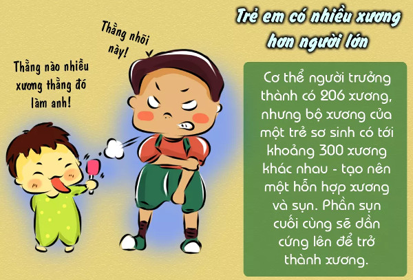 Sự thật thú vị về xương không phải ai cũng biết