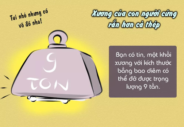 Sự thật thú vị về xương không phải ai cũng biết