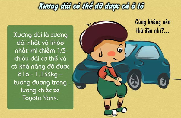 Sự thật thú vị về xương không phải ai cũng biết