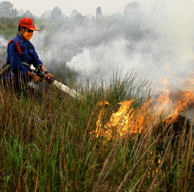 Indonesia nhờ Nga, Nhật giúp khống chế cháy gây mù khô