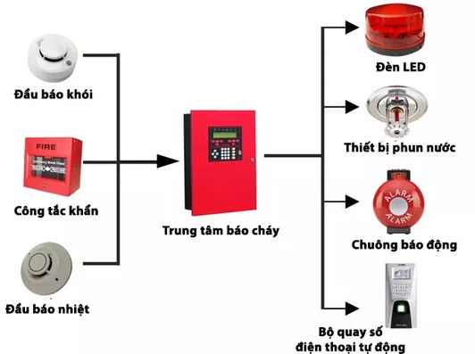 Vì sao hệ thống báo động có thể kêu khi không có cháy?