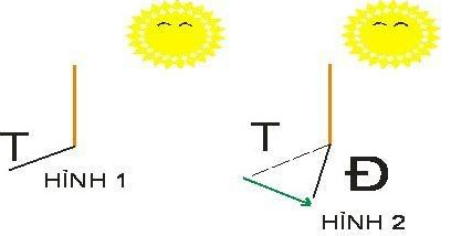 Cách xác định hướng đơn giản bằng mặt trời và kinh nghiệm
