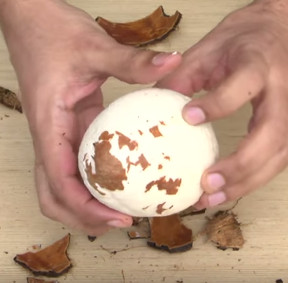 Video: Mẹo tách cùi dừa nguyên quả cực đơn giản