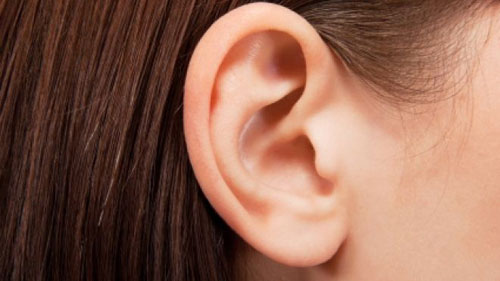 Những điều kỳ diệu từ đôi tai