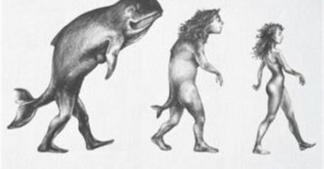 Chân, tay người được tiến hóa từ vây cá cổ đại