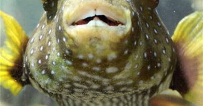 4 khả năng tiến hóa khó tin của nhân loại trong tương lai