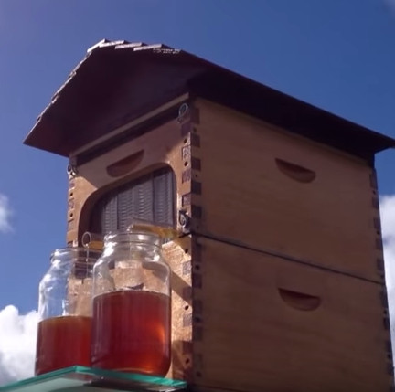 Flow Hive - Hệ thống khai thác mật ong tự động