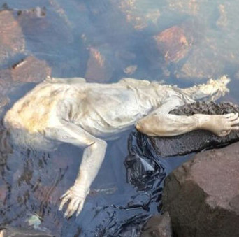Phát hiện xác sinh vật bí ẩn dạt vào bờ Paraguay