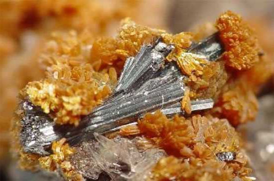 Tổng hợp tin tức hay nhất tuần 05/10