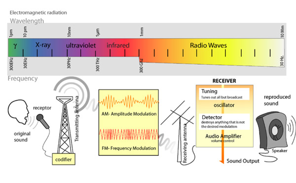 Ai là người phát minh radio?