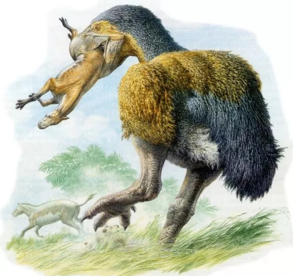 8 