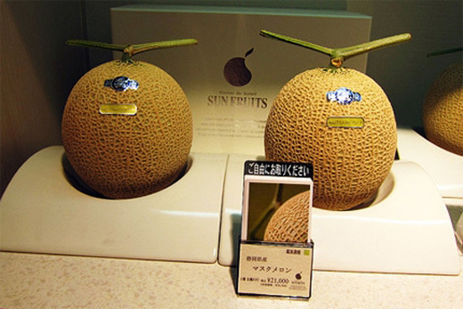 1 quả dưa lưới ruột vàng của Nhật có thể bán với giá lên tới 300 USD.