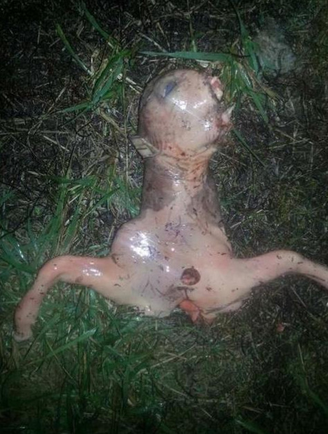 Sởn gai ốc với sự xuất hiện của sinh vật có hình thù quái dị