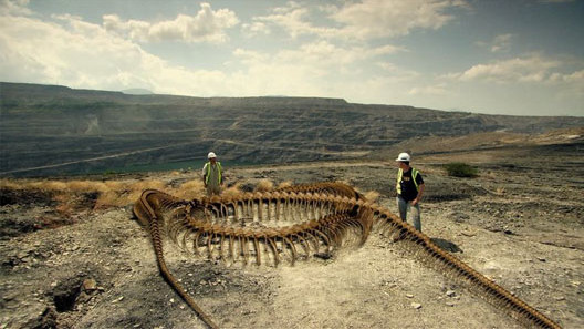 Tổng hợp tin tức hay nhất tuần 02/11