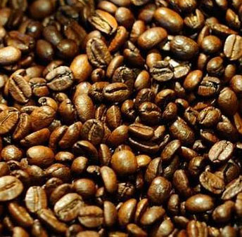 Phát hiện loại protein trong cà phê có hiệu ứng mạnh hơn morphine