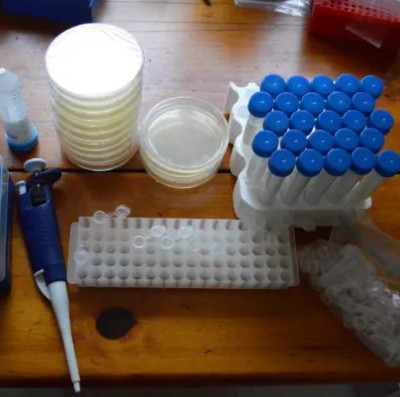 Dự án giúp bạn có thể tự chỉnh sửa ADN của chính mình tại nhà