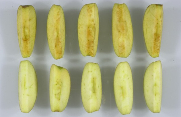 Tại sao những miếng táo chuyển màu nâu sau khi cắt?