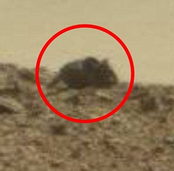 Dân mạng bàn tán ảnh "chuột khổng lồ" trên sao Hỏa