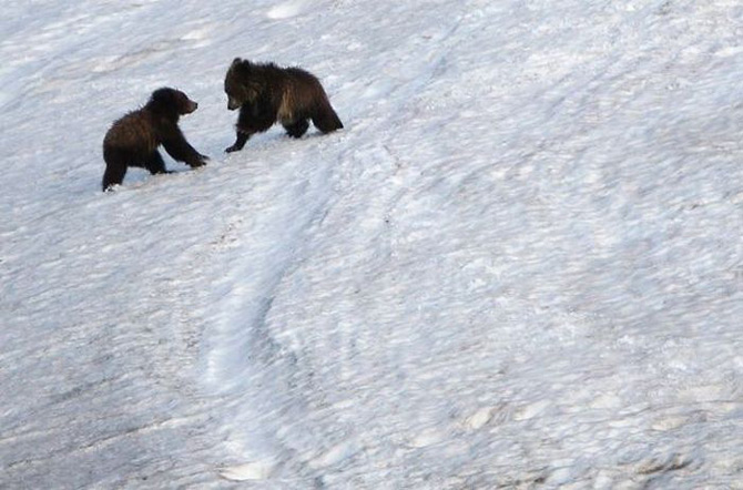 Vườn quốc gia Yellowstone - Hợp chủng quốc Hoa Kỳ