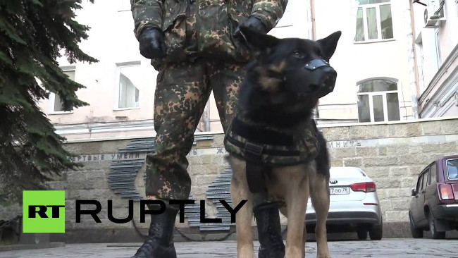 Video: Nga phát triển áo chống đạn cho cảnh khuyển