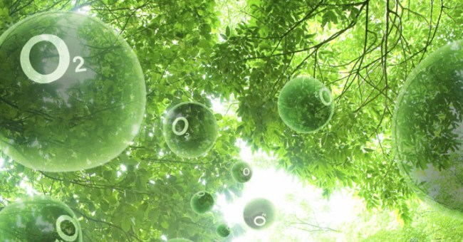 Phát triển vật liệu đơn giản, giá rẻ cho quá trình "quang hợp nhân tạo"