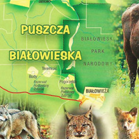 Vườn quốc gia Belovezhskaya Pushcha - Belarus