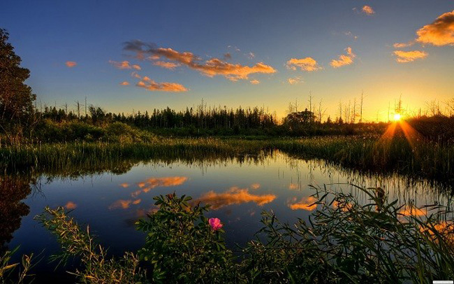 Vườn quốc gia Everglades - Hợp chủng quốc Hoa Kỳ