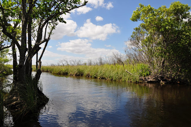 Vườn quốc gia Everglades - Hợp chủng quốc Hoa Kỳ