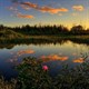 Vườn quốc gia Everglades - Hợp chủng quốc Hoa Kỳ