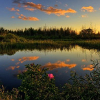 Vườn quốc gia Everglades - Hợp chủng quốc Hoa Kỳ