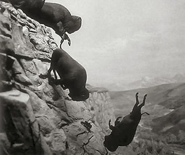 Vực bẫy trâu Head-Smashed-In - Canada