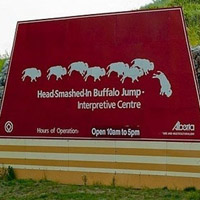 Vực bẫy trâu Head-Smashed-In - Canada