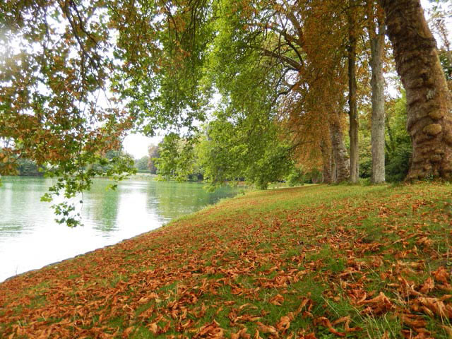 Lâu đài Fontainebleau - Pháp