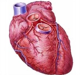 Những phát minh tình cờ đến khó tin nhưng vĩ đại