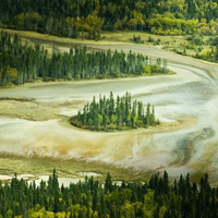 Vườn quốc gia Wood Buffalo - Canada
