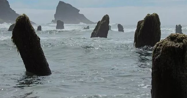 Tổng hợp tin tức hay nhất tuần 02/12