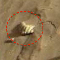NASA phát hiện hình ảnh vỏ ngao trên sao Hỏa