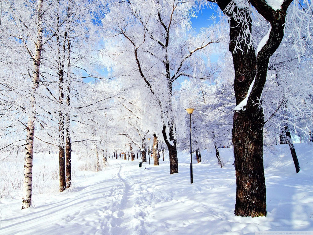 TOP 1000 hình ảnh mùa đông lãng mạn đẹp nhất chuẩn Full HD