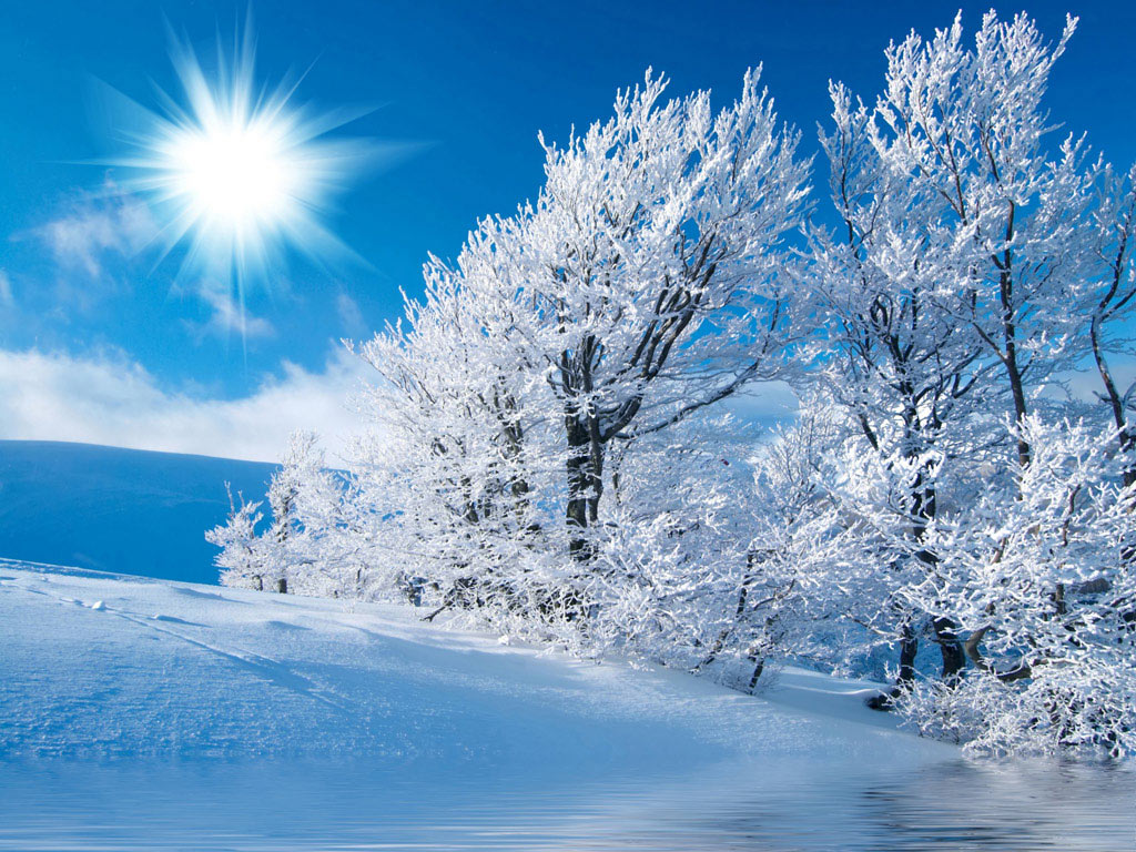 Top 101 hình nền mùa đông đẹp cho điện thoại đẹp nhất