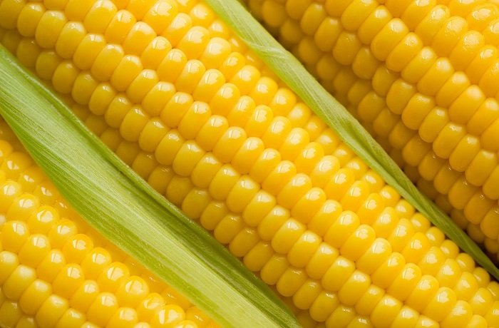 Hút thuốc lá trên 5 năm, hãy làm theo 5 cách này để cứu phổi