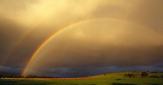 Có tới 12 loại cầu vồng và không phải lúc nào cũng có đủ 7 màu cơ bản