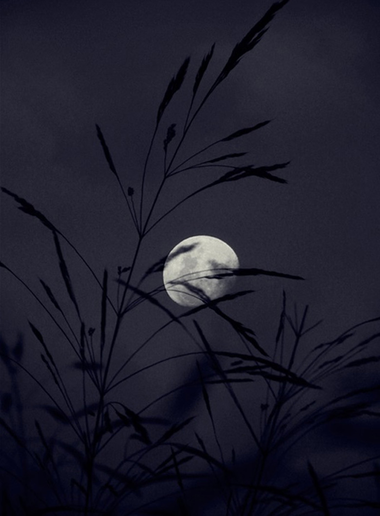 Bộ sưu tập ảnh về mặt trăng siêu đẹp - KhoaHoc.tv