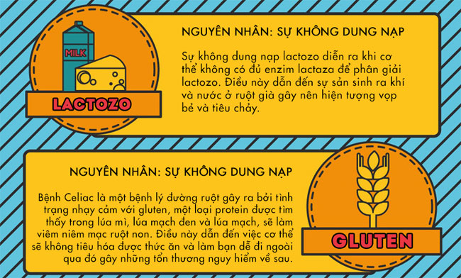 Những loại thực phẩm thúc đẩy hoặc ngăn cản việc đi ngoài